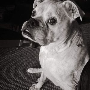 Meet your Posher, Kathy